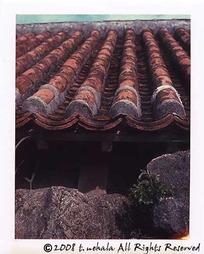 d0143773_1516349.jpg