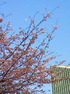 e0037673_22203818.jpg