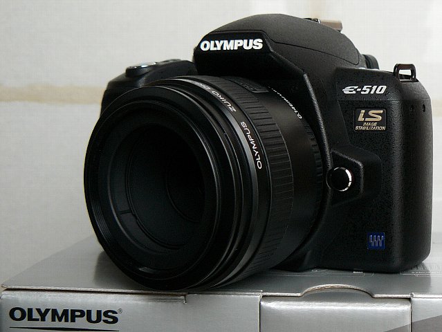 a0096177_20481519.jpg