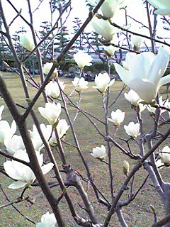 f0124177_021439.jpg