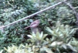c0135480_18405537.jpg