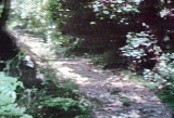 c0135480_18423888.jpg