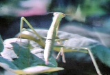 c0135480_1844834.jpg