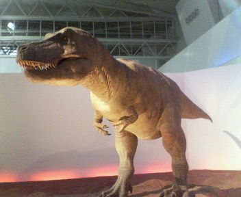 d0056881_20373390.jpg