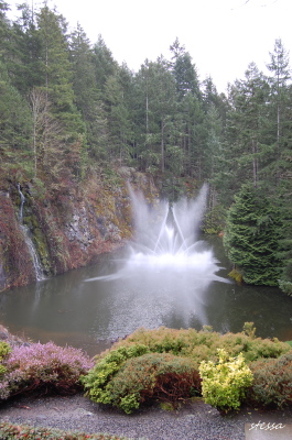 d0129786_15562242.jpg