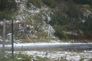 b0124595_137198.jpg
