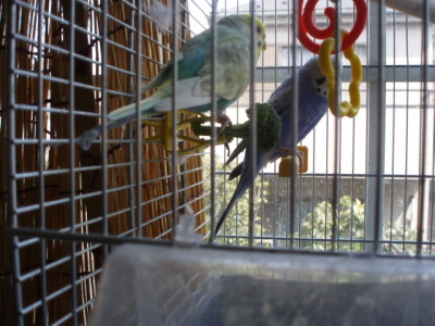 c0086895_1423579.jpg