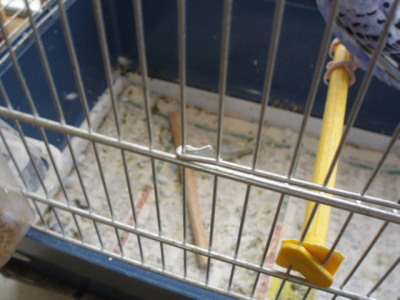 c0086895_1452675.jpg