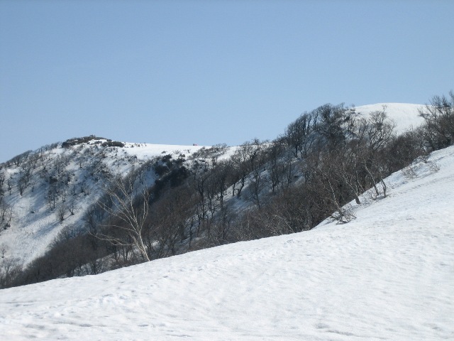 c0147398_15305577.jpg