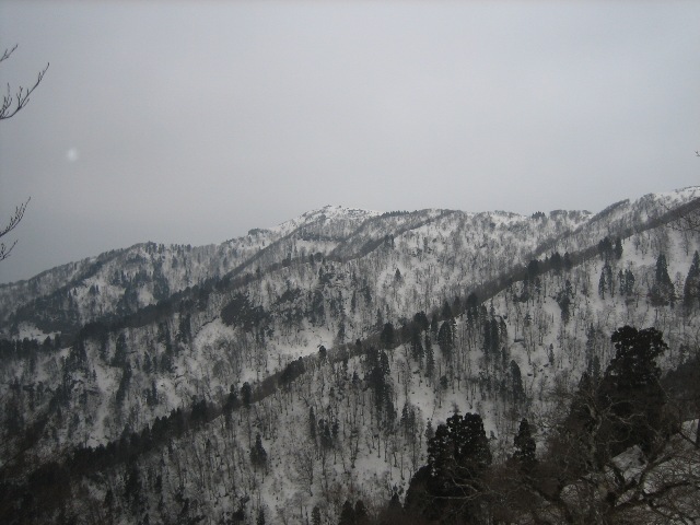 c0147398_15412632.jpg