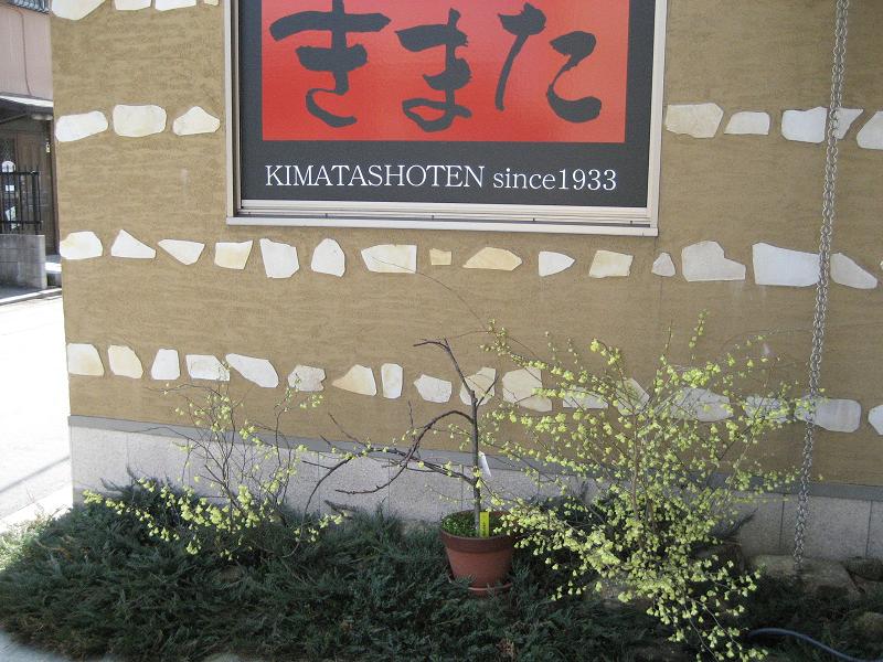 e0122100_1213269.jpg