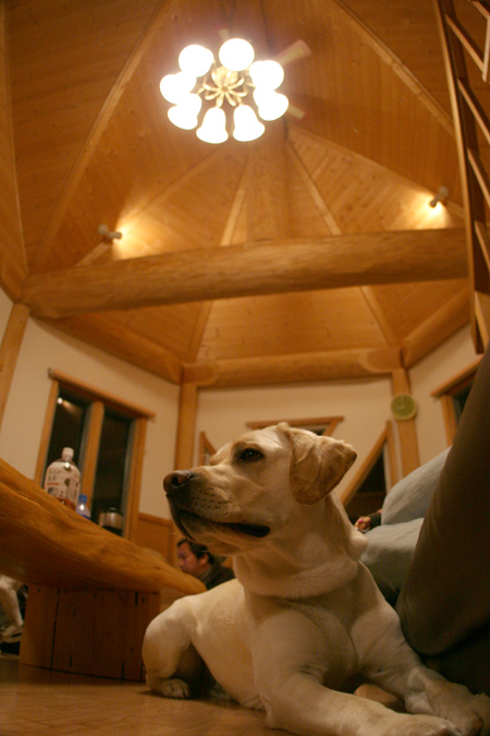 c0089005_17591760.jpg