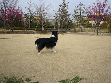 e0130008_2212173.jpg