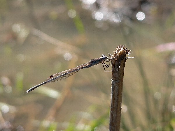e0002314_184311.jpg
