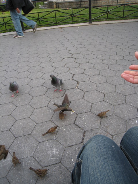 c0120817_10372583.jpg