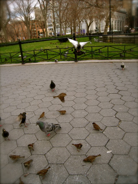 c0120817_10385672.jpg