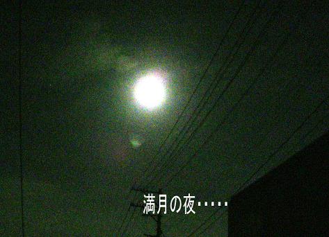d0144618_21491290.jpg