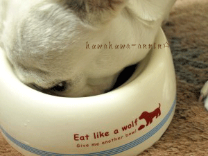 f0155120_0102882.gif