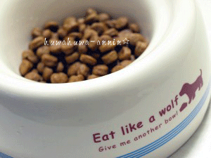 f0155120_093912.gif