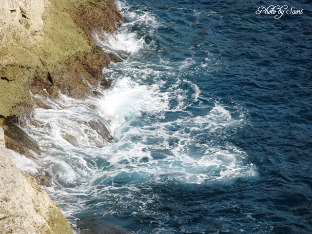 c0157624_21131584.jpg