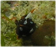 c0034029_23442862.jpg