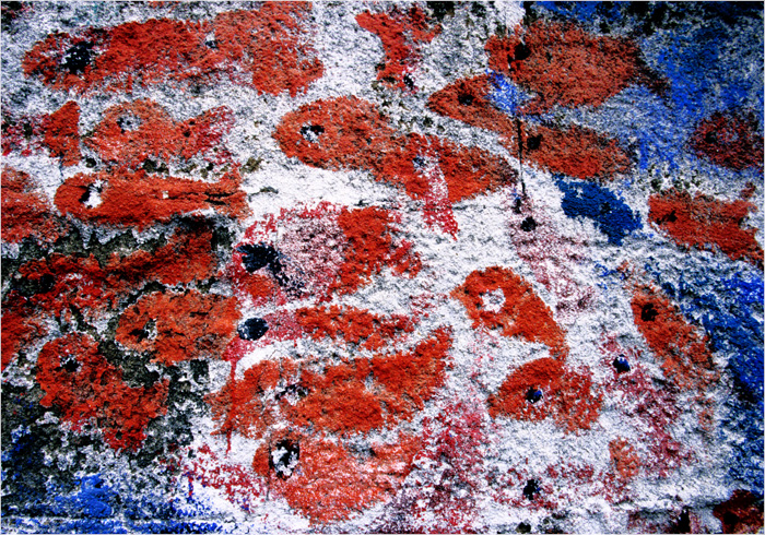d0147530_6295436.jpg