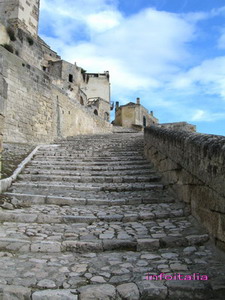 c0077533_8484158.jpg