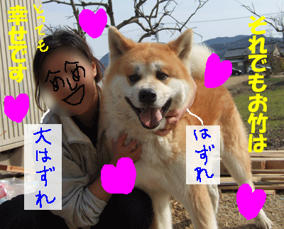 f0008935_15524380.gif