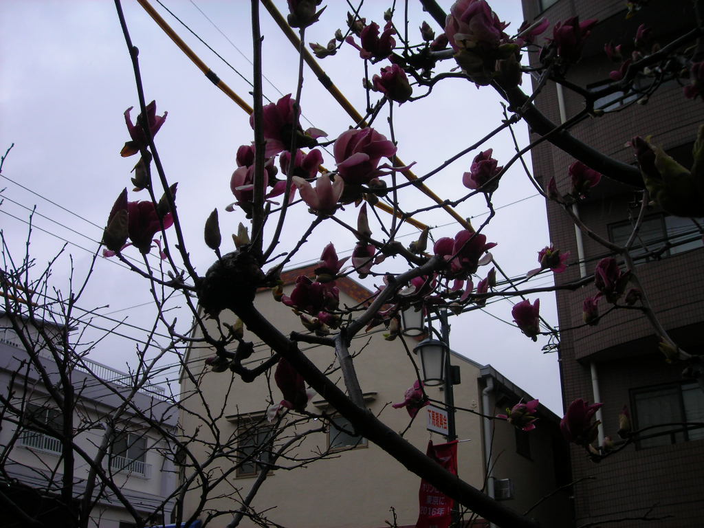 d0144137_18424334.jpg