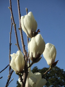 a0054240_21441287.jpg