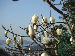 a0054240_21442790.jpg