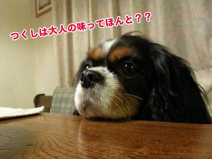 c0145250_12491350.jpg