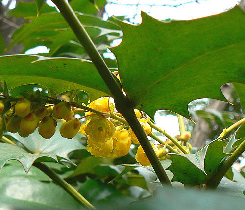 d0091754_0123117.jpg