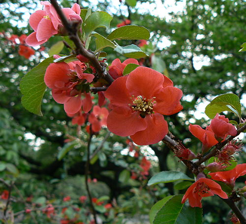 d0091754_18304184.jpg