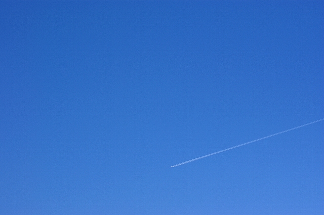 a0094762_21502969.jpg