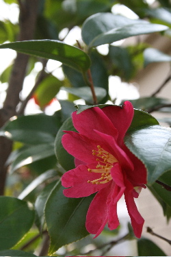 e0016164_11171652.jpg
