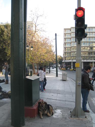 f0037264_7261923.jpg