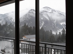 b0011368_1143369.jpg