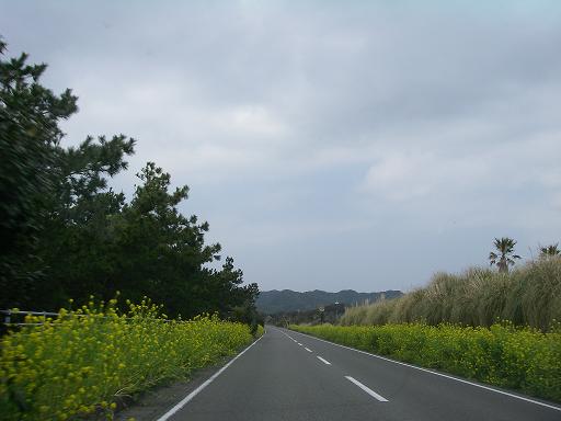 a0081772_1272825.jpg