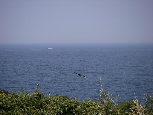 a0081772_127545.jpg