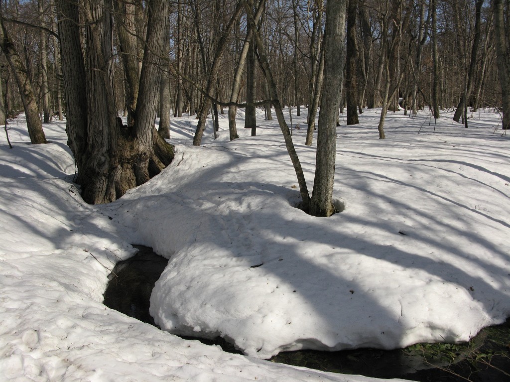 b0076972_1945433.jpg