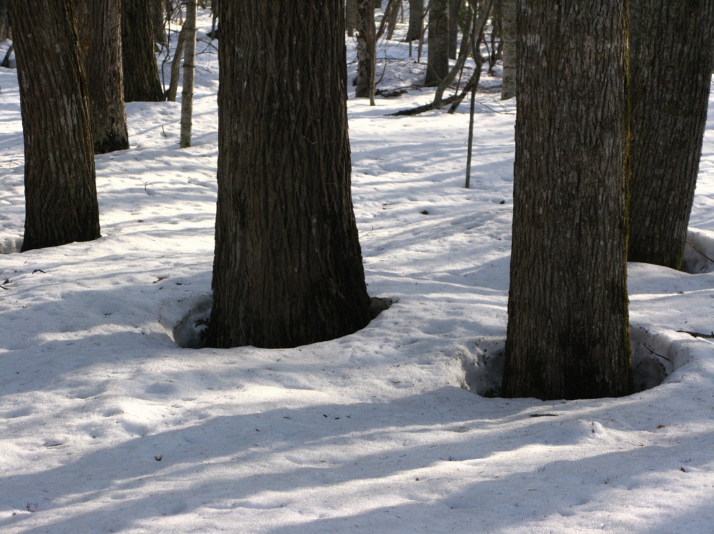 b0076972_19484679.jpg