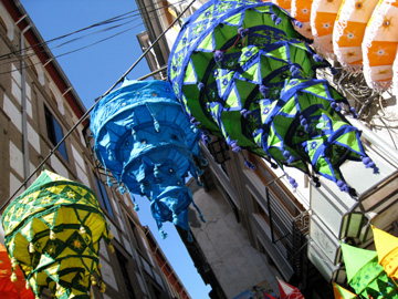 e0023086_7318.jpg