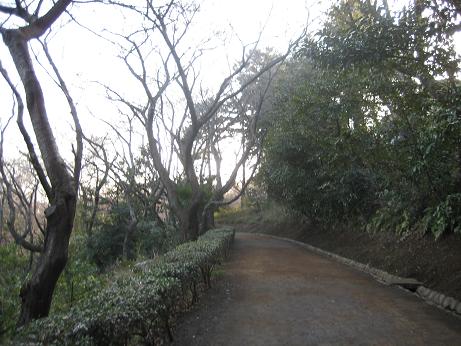c0000189_1310269.jpg