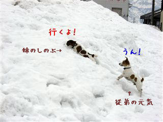 e0121589_21512487.jpg