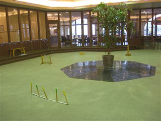 e0121589_226046.jpg