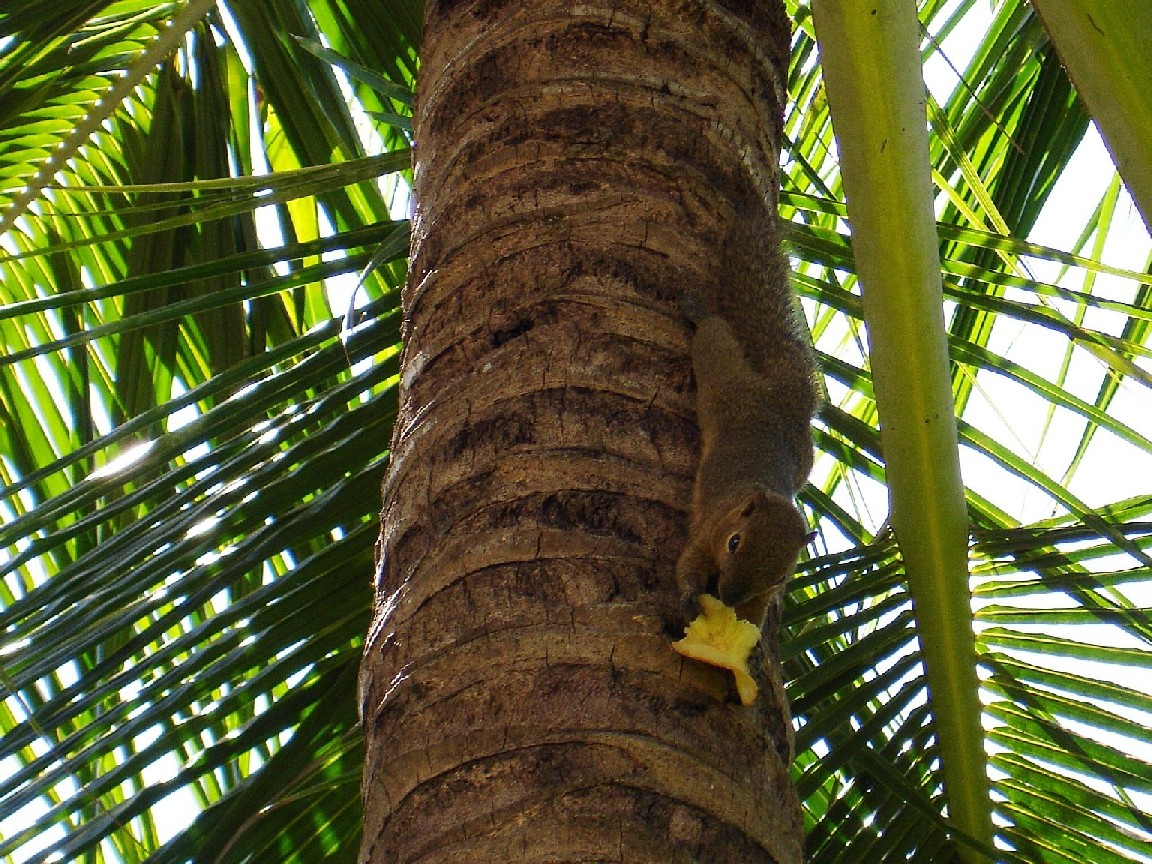 e0142189_14555019.jpg