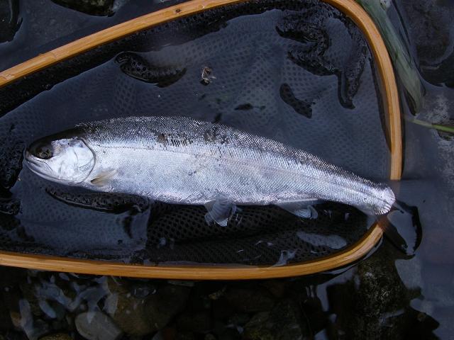 e0144195_12113210.jpg