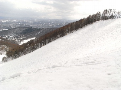 f0157901_224568.jpg
