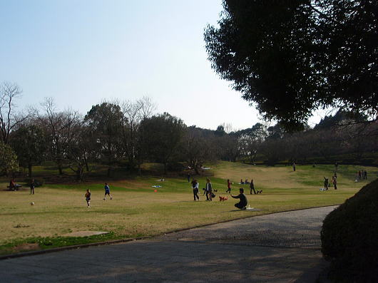 b0055202_2013167.jpg